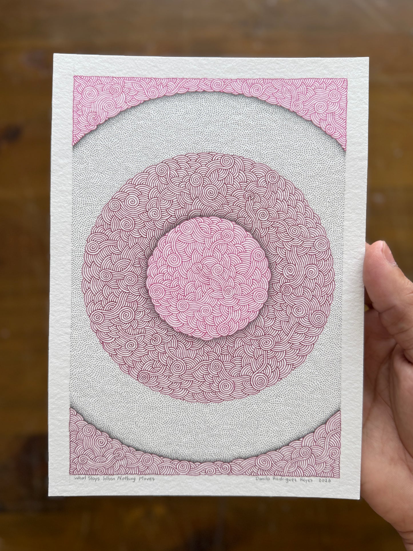 What Stays When Nothing Moves