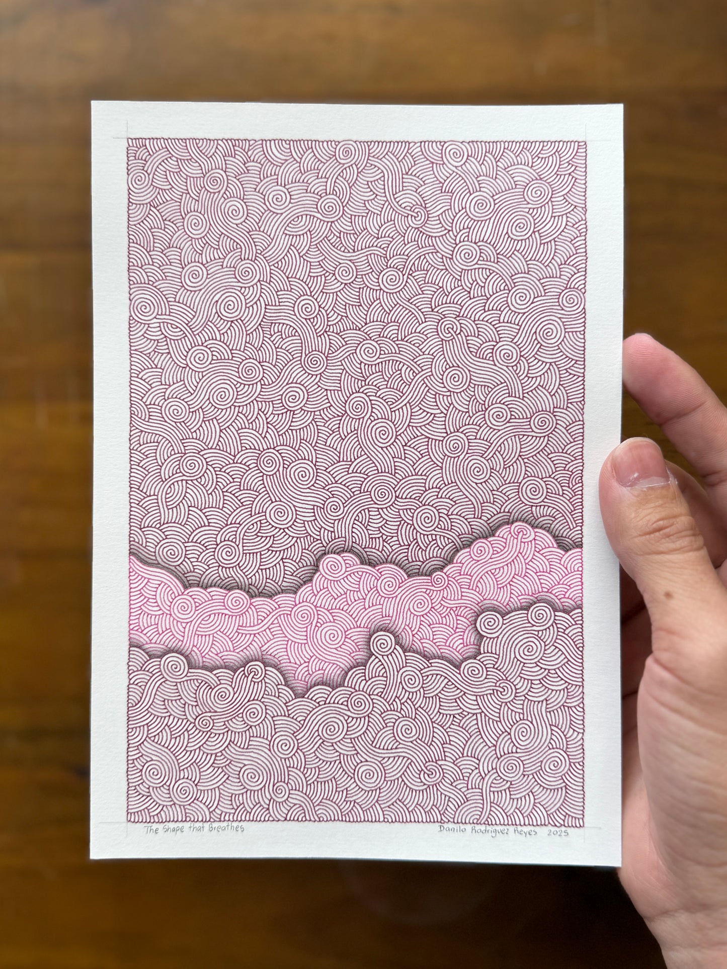 The Shape That Breathes